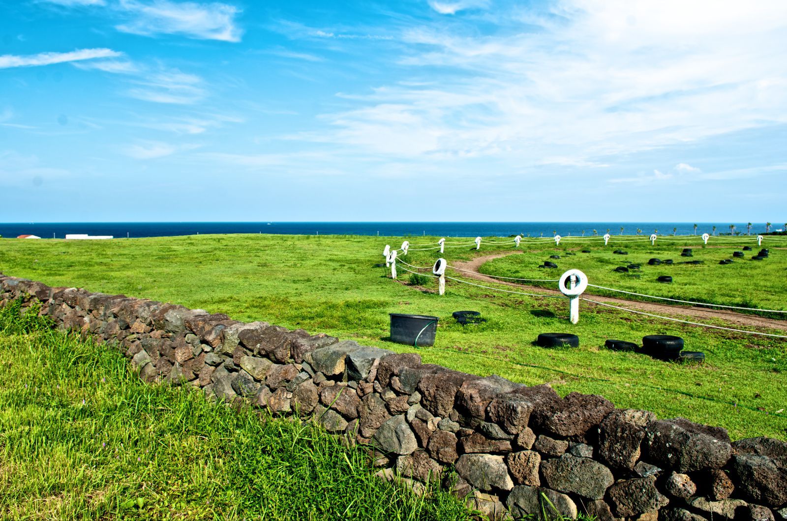 濟州島旅游季節攻略